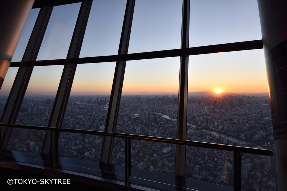 Tokyo: 1 Day Bus Tour with Meiji-Jingu,Odaiba,lunch&Skytree - Meeting in Shinjuku or Tokyo Station: how to start without stress