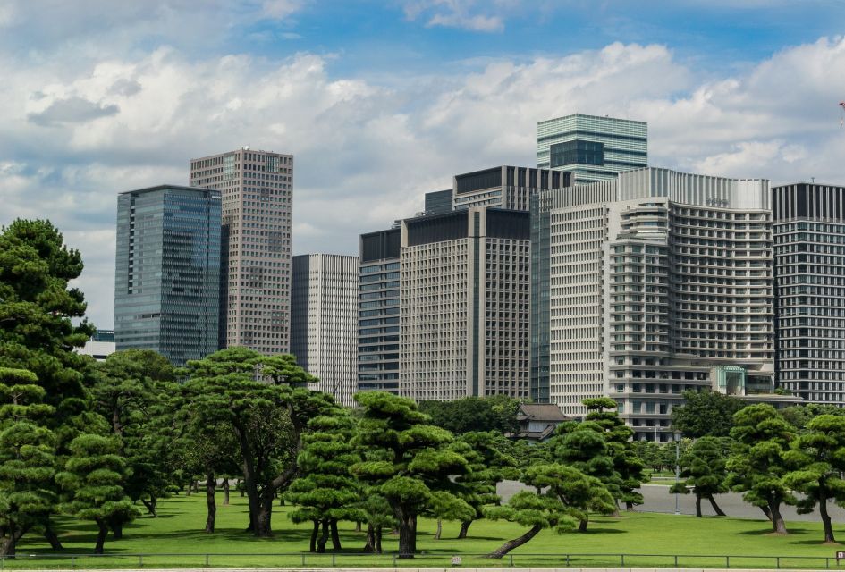 Tokyo: 1-Day Private Customizable Tour by Car - Meiji Shrine and Harajuku: spiritual quiet, then street style