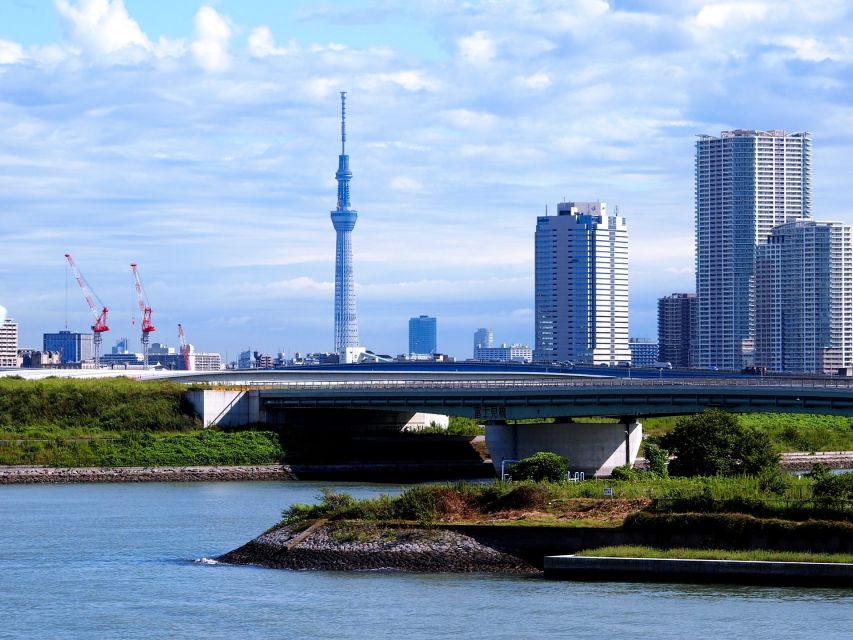 Tokyo: 1-Day Private Customizable Tour by Car - Price and value: what $377 per group really buys