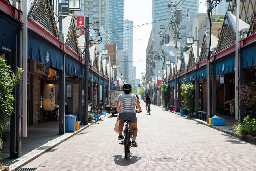 Tokyo: 3-hour Guided E-Bike Tour of the City's Hidden Gems - Why 3 hours on an e-bike changes how you see Tokyo