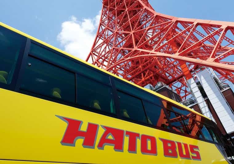 Tokyo: A Half-Day Trip Bus Tour in the Morning - Tokyo Tower main observatory: views you’ll plan around all day