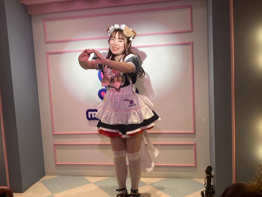 Tokyo Akihabara, Anime, Manga, Video Games & Maid Cafe Tour - gee store!!: More Character Goods, Another Chance to Find Your Match (About 30 Minutes)