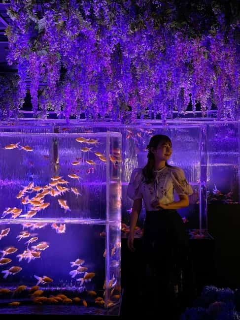 Tokyo: Art Aquarium Museum GINZA Entry Ticket - Key Highlights at a Glance