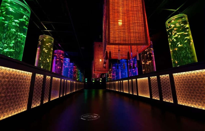 Tokyo: Art Aquarium Museum GINZA Entry Ticket - Seasonal Changes at a Permanent Venue: Why One Visit Might Not Be Enough