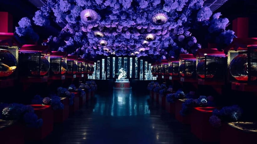 Tokyo: Art Aquarium Museum GINZA Entry Ticket - Price and Value: Is $17 Reasonable for What You Get?