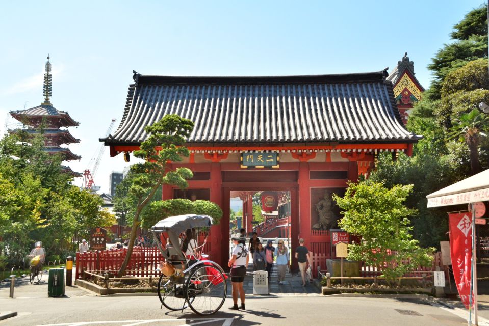 Tokyo: Asakusa Sightseeing Tour by Rickshaw - Sumida Park and the river trees: cherry season is the real star