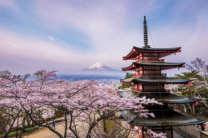 Tokyo Asakusa Temple & Shrine Walking Tour with Local Guide - Where you start, where you end, and what to do before you go