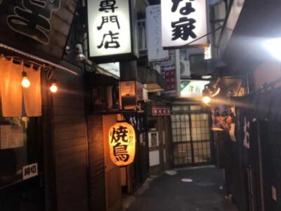 Tokyo: Customizable Private Guided Walking Tour - Your 4-Hour Game Plan: Icons, Alleys, and the Parts Between