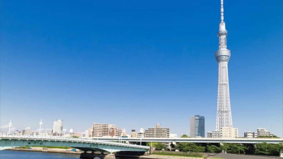 Tokyo: Customizable Private Guided Walking Tour - Shibuya Crossing: The Energy Test