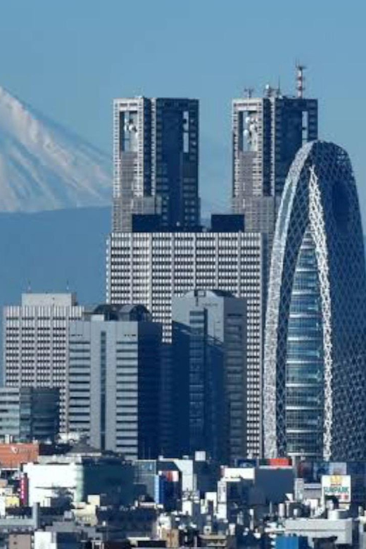 Tokyo: Customizable Private Guided Walking Tour - Adding Personal Extras: Kimono, Parks, Markets, and Viewpoints