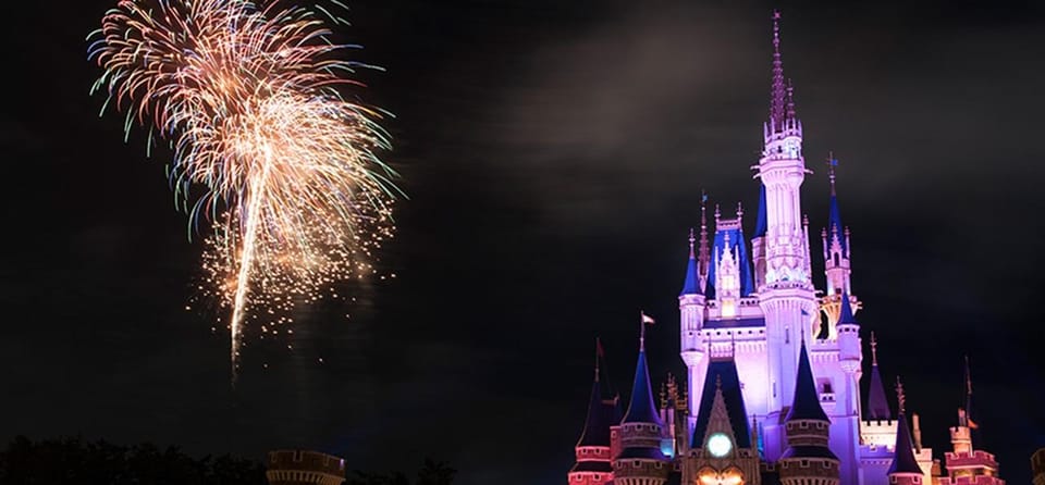 Tokyo Disneyland: 1-Day Entry Ticket and Private Transfer - Who this Disneyland day is best for