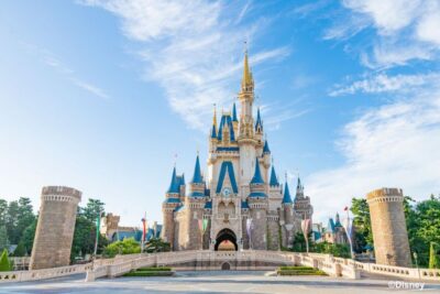 Tokyo Disneyland 1-Day Passport - Entering Tokyo Disneyland: your checklist before you go