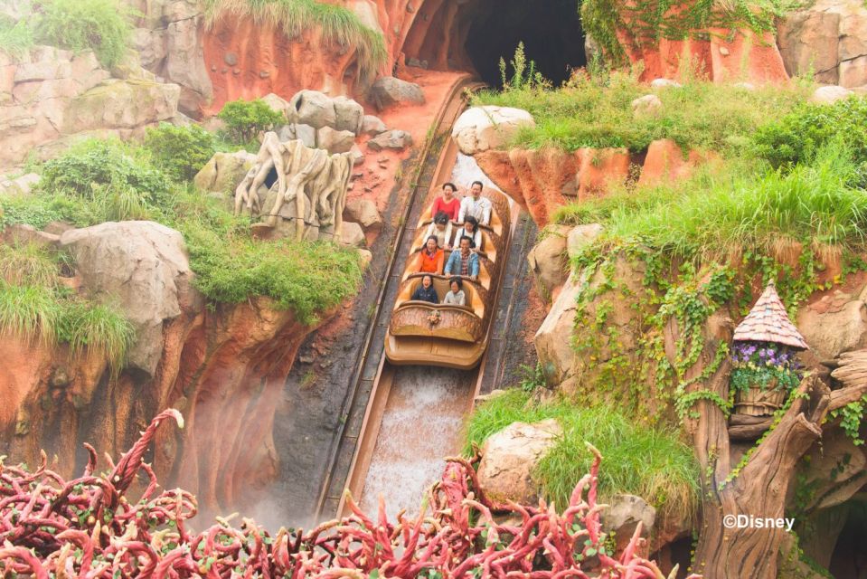 Tokyo Disneyland 1-Day Passport - Using the Tokyo Disney app: how to save time without losing the magic