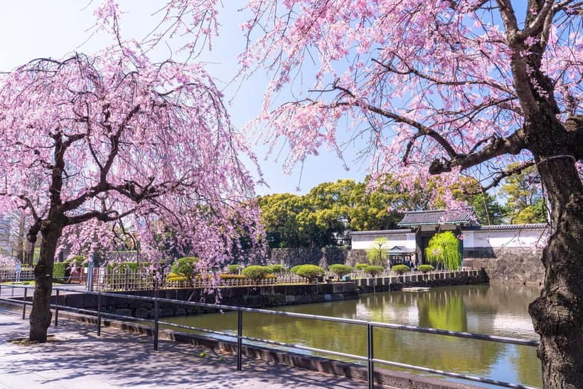 Tokyo: Edo Castle & East Garden of the Imperial Palace Tour - Final verdict: should you book the Tokyo Imperial Palace East Gardens tour?