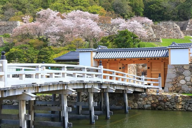 Tokyo: Edo Castle & East Garden of the Imperial Palace Tour - Price and value: is $42 for a 2-hour Imperial Palace East Gardens tour worth it?