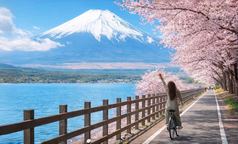 Tokyo: Full-Day Tour of the Six Majestic Spots of Mt Fuji - Key Points Worth Your Attention