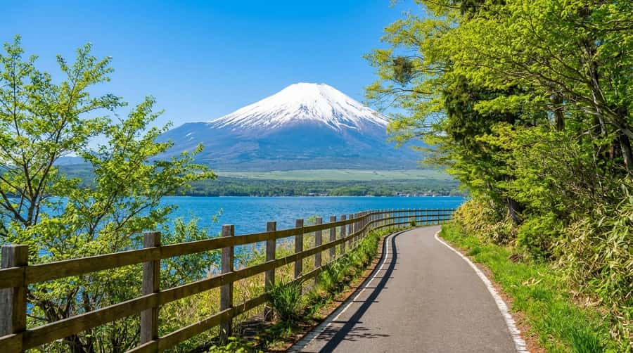 Tokyo: Full-Day Tour of the Six Majestic Spots of Mt Fuji - Higashikawa Clock Shop and the Lawson Fuji-Window Selfie Stop