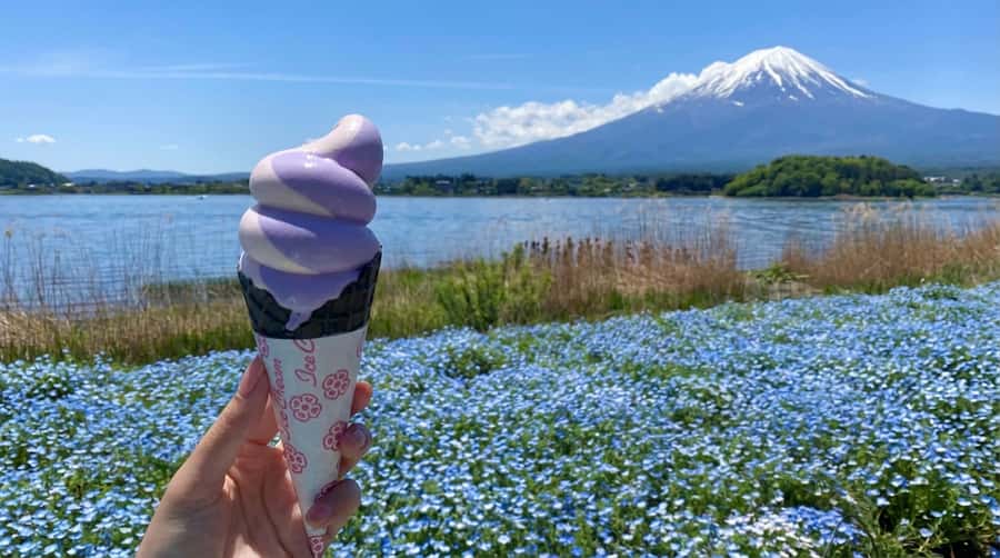 Tokyo: Full-Day Tour of the Six Majestic Spots of Mt Fuji - Oshino Hakkai: UNESCO Springs With Eight Clear Water Scenes