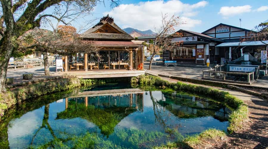 Tokyo: Full-Day Tour of the Six Majestic Spots of Mt Fuji - Kawaguchiko Oishi Park: Flowers Changing With the Calendar
