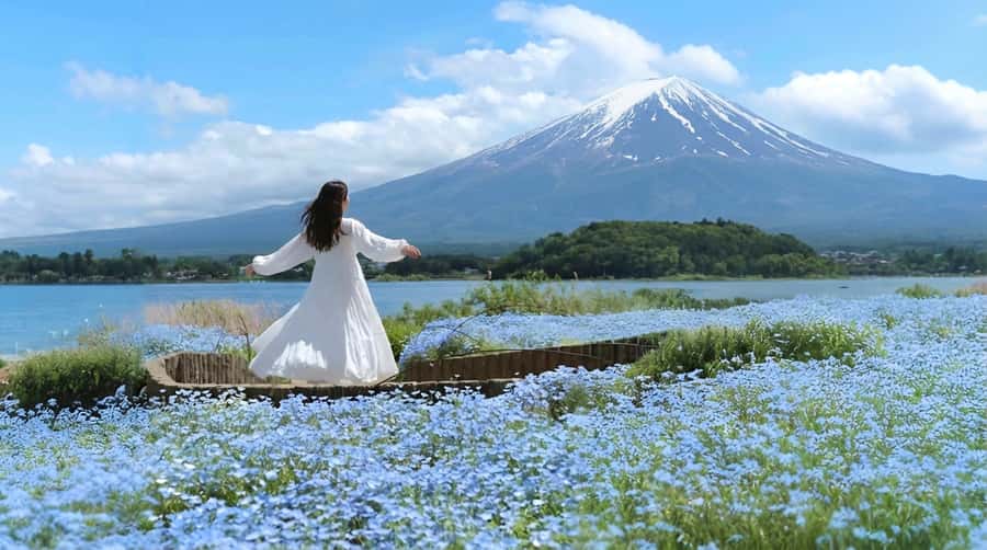 Tokyo: Full-Day Tour of the Six Majestic Spots of Mt Fuji - The Pace, the Bus Ride, and How the Guide Support Works