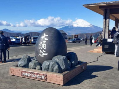 Tokyo: Hakone Fuji Day Tour w/ Cruise, Cable Car, Volcano - Leaving Shinjuku: meeting points, comfort, and the bus rhythm