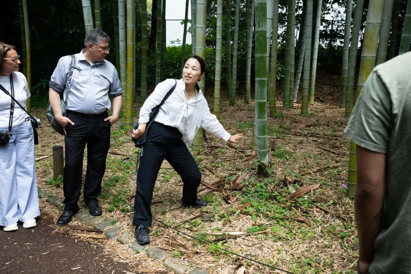 Tokyo: Imperial Palace East Gardens Walking Tour - Why the guide matters: names you’ll hear and teaching styles to look for