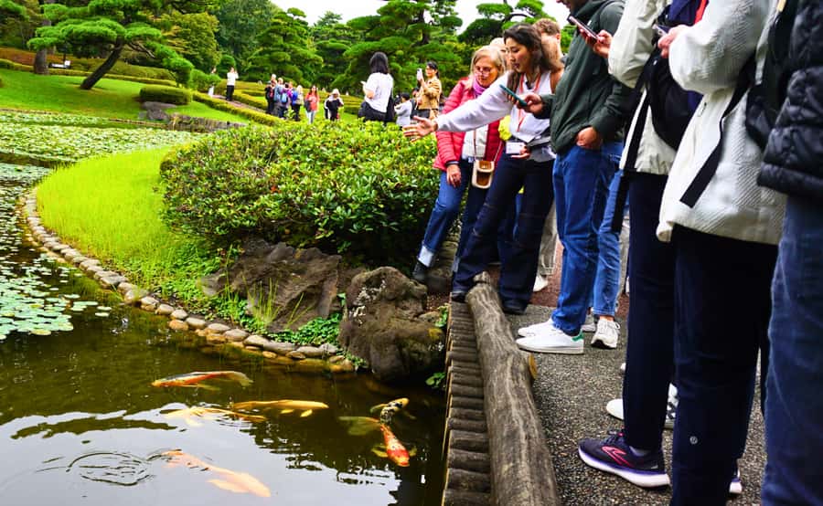 Tokyo: Imperial Palace Japanese History Walking Tour - Key Points You’ll Care About