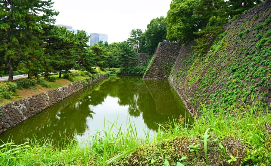 Tokyo: Imperial Palace Japanese History Walking Tour - How the Ranking System Explains Japan’s Social Order