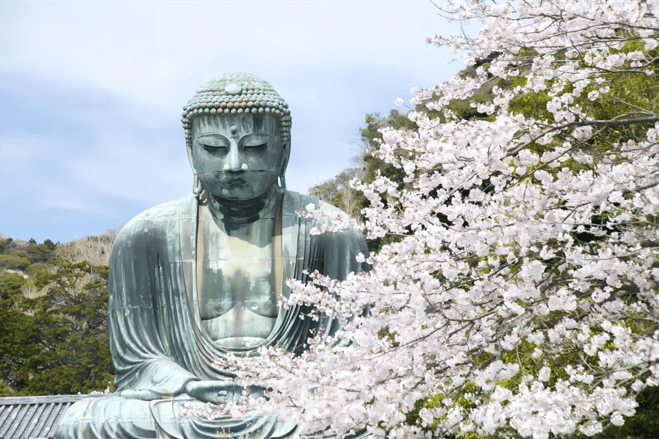 Tokyo: Kamakura & Enoshima Day Tour with Pickup & Train Ride - Tsurugaoka Hachimangu: walking time in Kamakura’s main shrine