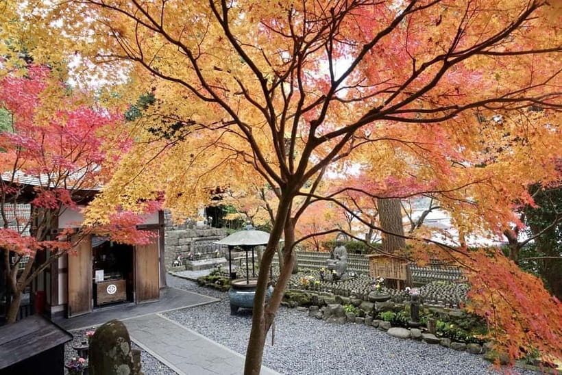 Tokyo: Kamakura & Enoshima Day Trip including Temple Tickets - A 9-Hour Kamakura and Enoshima Hit: Who This Day Trip Fits