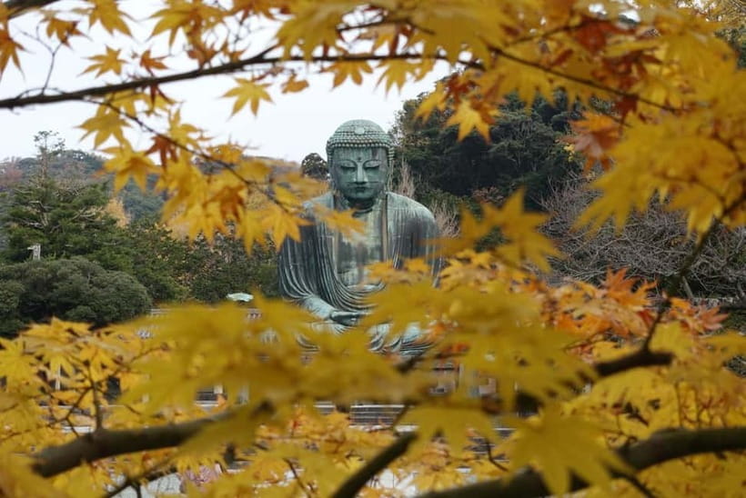 Tokyo: Kamakura & Enoshima Day Trip including Temple Tickets - Hasedera Temple: Eleven-Headed Kannon and the Walk That Pays Off