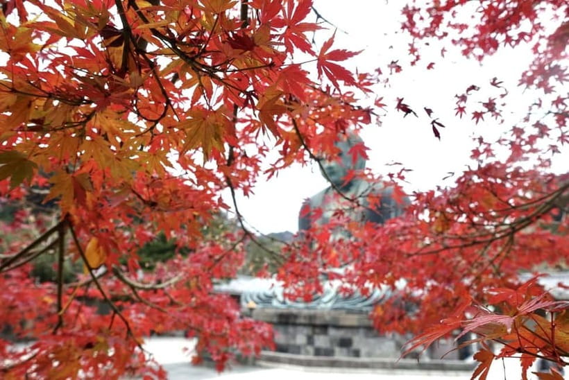 Tokyo: Kamakura & Enoshima Day Trip including Temple Tickets - Mt. Fuji on Enoshima: What You Can Control, What You Can’t