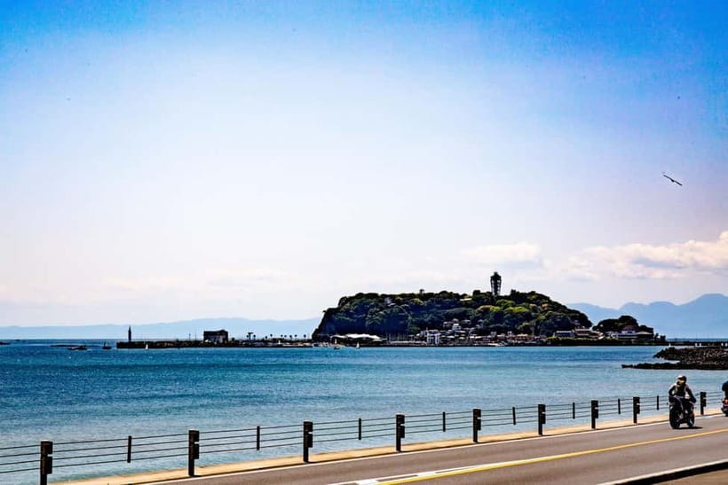 Tokyo: Kamakura & Enoshima Day Trip including Temple Tickets - How the Pacing Feels From Shinjuku to Enoshima