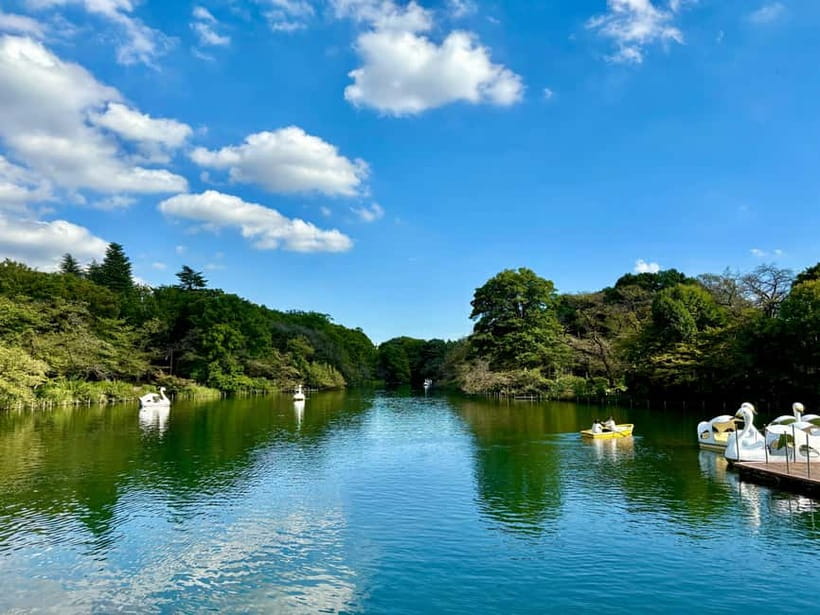 Tokyo: Kichijoji Walking Tour with Local Guide - Inokashira Park: Where the City Exhales