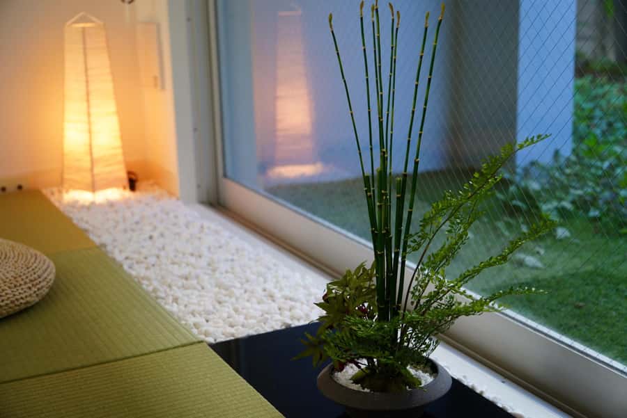 Tokyo: Matcha and Kimono Experience - The culture lesson: Tea ceremony and Teaism, explained clearly