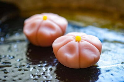 Tokyo: Matcha Making Experience with Mochi Sweets in Asakusa - The quiz-driven matcha lesson that keeps it from feeling like school