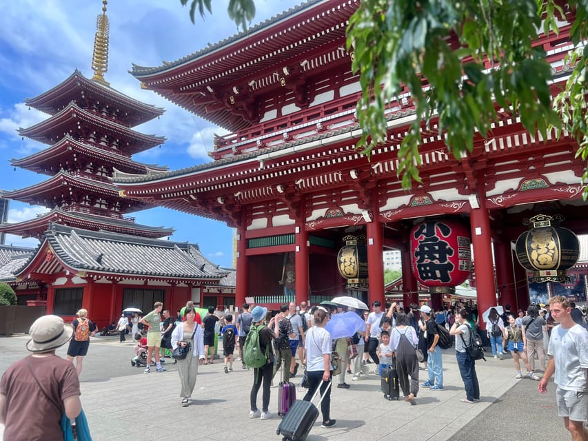 Tokyo: Meiji Jingu Shrine and Shinto Culture Walking Tour - Key highlights worth planning for