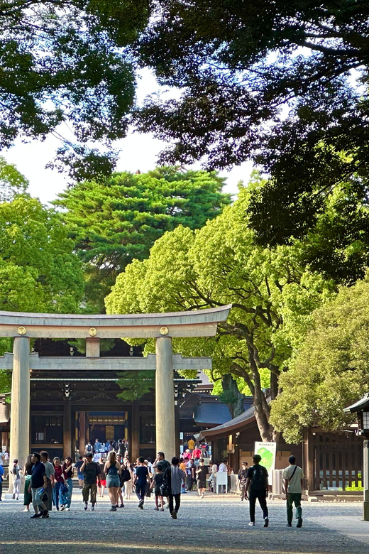 Tokyo: Meiji Jingu Shrine and Shinto Culture Walking Tour - Big Torii: the moment you start seeing symbols, not just scenery