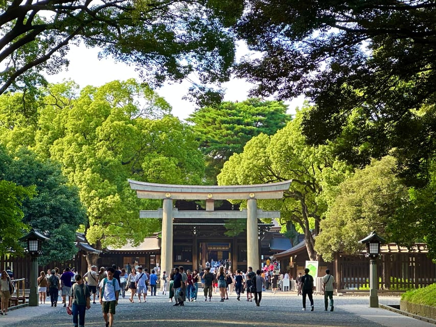 Tokyo: Meiji Jingu Shrine and Shinto Culture Walking Tour - Consecrated sake barrels: a small stop with big meaning