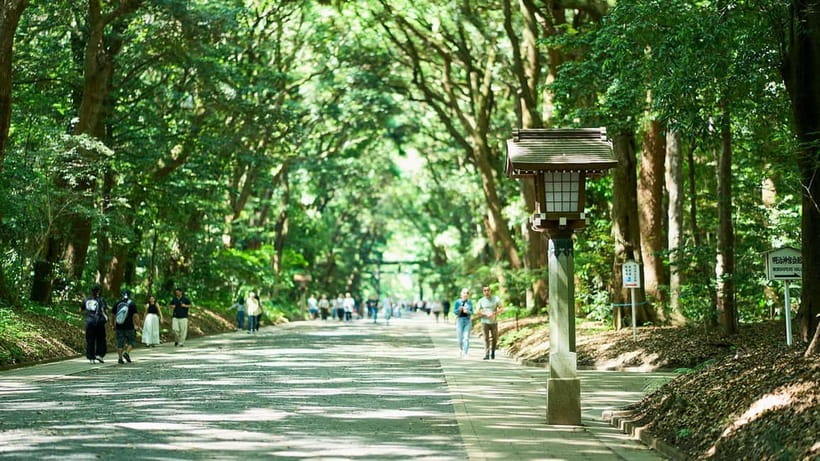 Tokyo: Meiji Shrine Walking Tour — Shinto & Imperial System - Key things you’ll notice on this Meiji Shrine tour