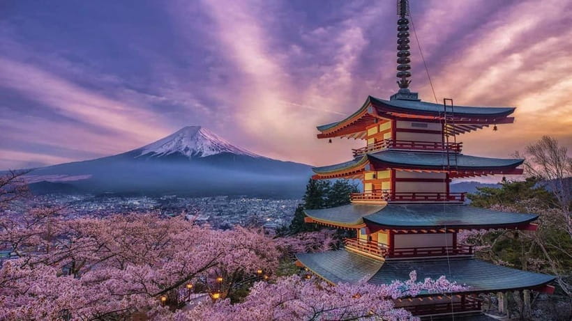 Tokyo: Mount Fuji & Hakone Private Tour with Guide - Key things to know before you go