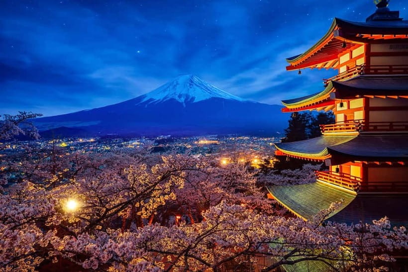 Tokyo: Mount Fuji & Hakone Private Tour with Guide - Price and Logistics: What Your Money Actually Buys