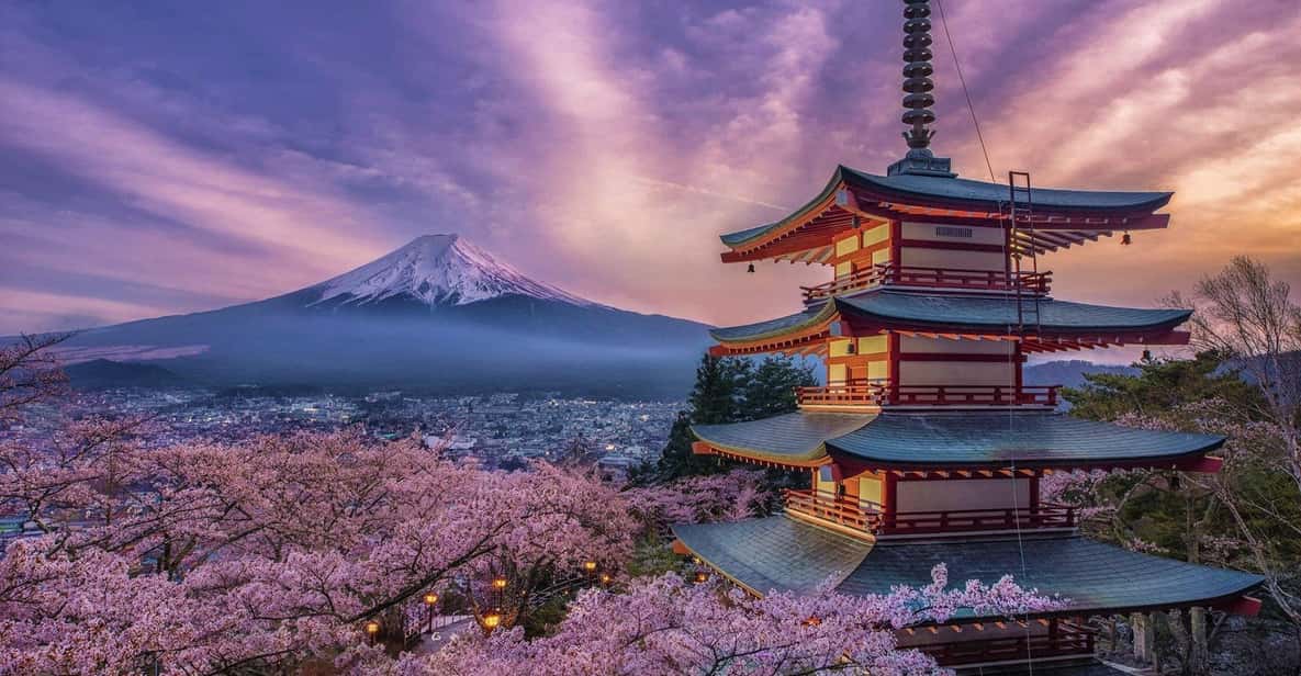 Tokyo: Mount Fuji & Hakone Private Tour with Guide - A Private 10-Hour Fuji and Hakone Reset From Tokyo
