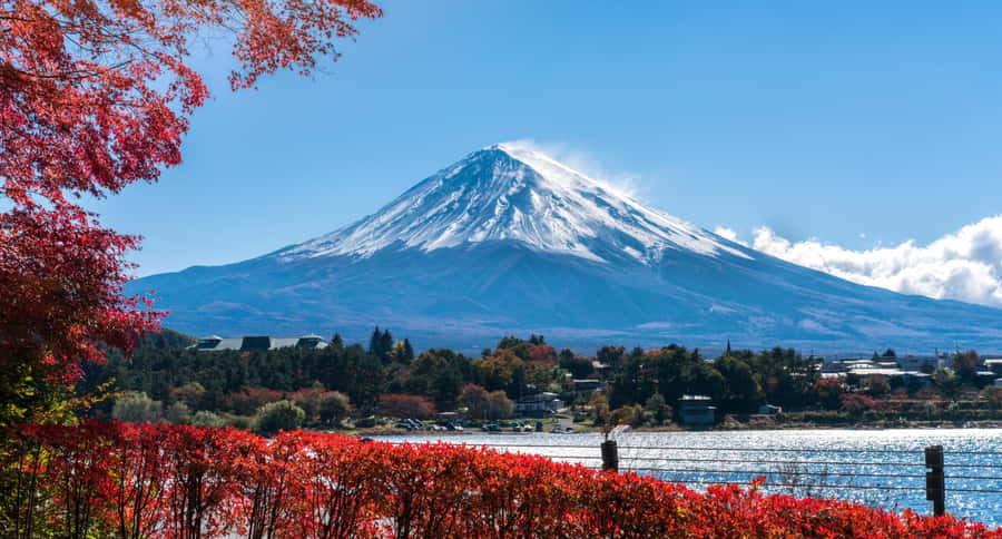 Tokyo: Mt. Fuji 5th Station, Kawaguchiko Tour w/ Cable Car - Price and value: what $74 buys you and what it doesn’t