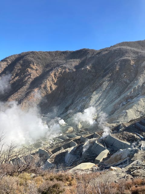 Tokyo: Mt. Fuji and Hakone Tour with Cable Car and Cruise - Should you book this tour?