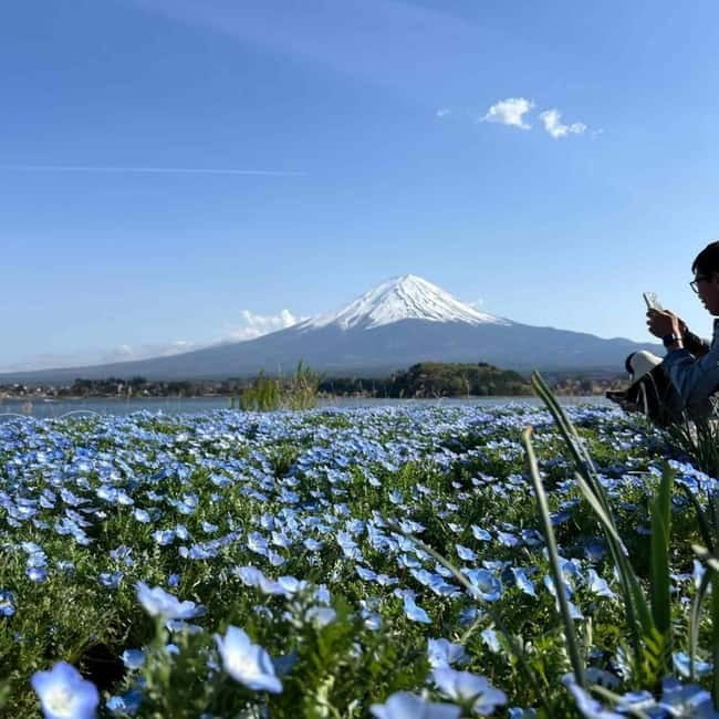 Tokyo: Mt. Fuji & Hakone Private Custom Tour English Driver - The In-Between Stops: Shrines, Forest Pass-By Views, and Art for Weather Days