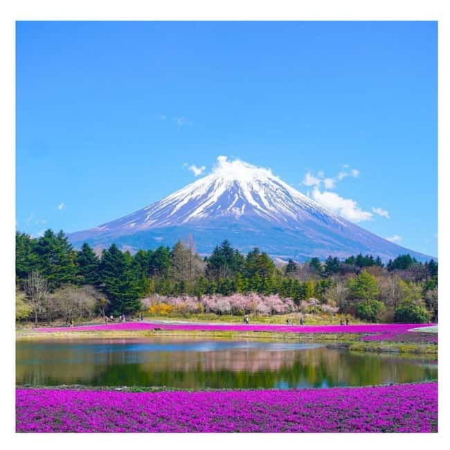 Tokyo: Mt. Fuji & Hakone Private Custom Tour English Driver - About the Guide: How You Get from Point A to Memorable