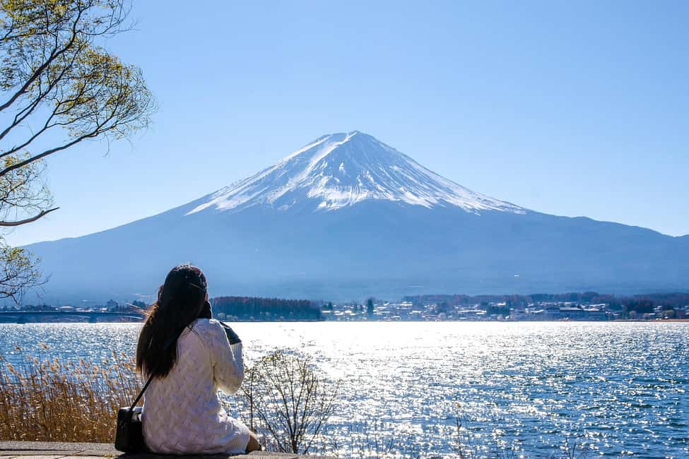 Tokyo: Mt. Fuji, Kamakura, Big Buddha, & Lake Ashi Day Trip - Oishi Park and Lake Kawaguchi: Turning One Viewpoint Into a Photo Set
