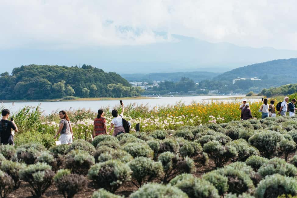 Tokyo: Mt. Fuji, Kamakura, Big Buddha, & Lake Ashi Day Trip - Price and Value for Around $49: What You’re Really Buying