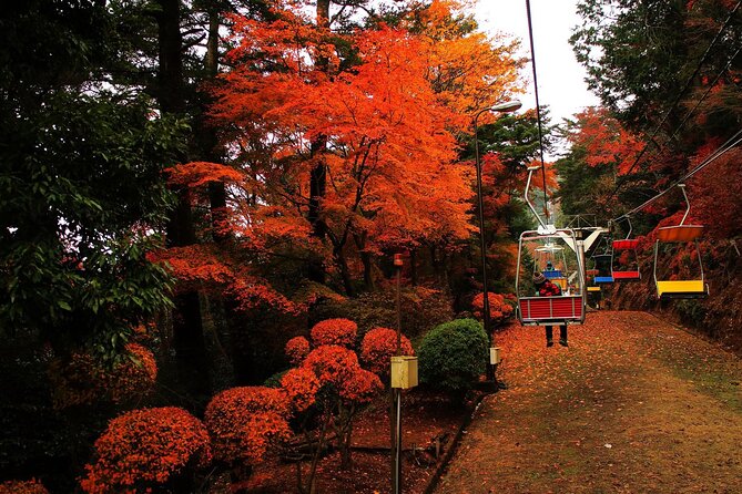 Tokyo: Mt Takao Tour with Ramen and Tattoo-Okay Hot Spring - Key Highlights You’ll Actually Care About
